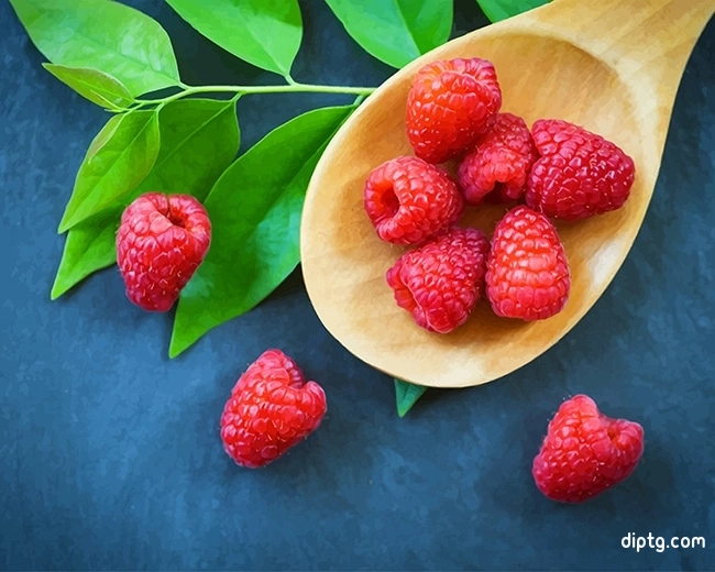 Tasty Raspberry Painting By Numbers Kits.jpg