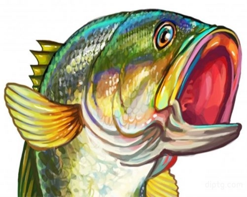 Aesthetic Bass Fish Painting By Numbers Kits.jpg