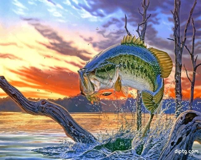Bass Fish Painting By Numbers Kits.jpg