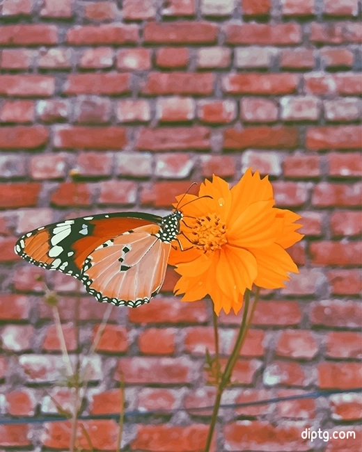 Orange Butterfly Painting By Numbers Kits.jpg