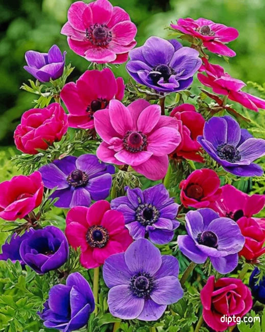 Colorful Anemone Painting By Numbers Kits.jpg