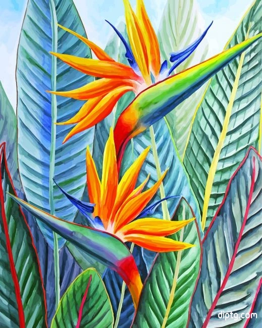 Strelitzia Bird Of Paradise Painting By Numbers Kits.jpg
