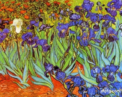 Irises Vincent Van Gogh Painting By Numbers Kits.jpg