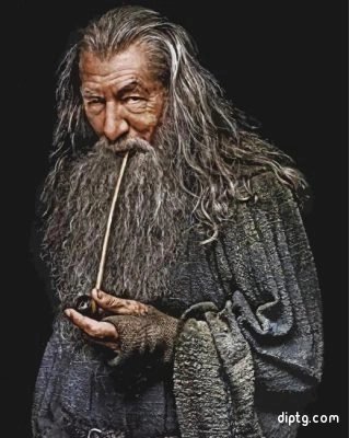 Gandalf Painting By Numbers Kits.jpg