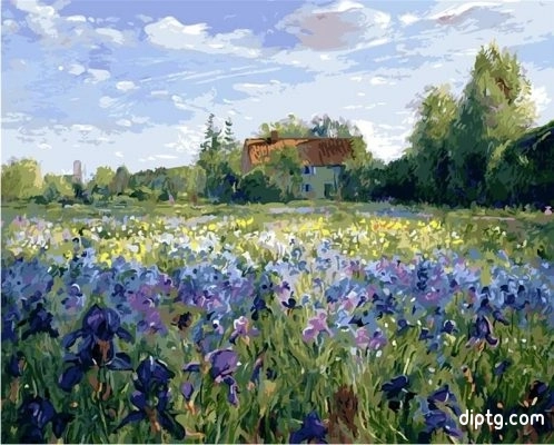 Iris Flowers Field Painting By Numbers Kits.jpg