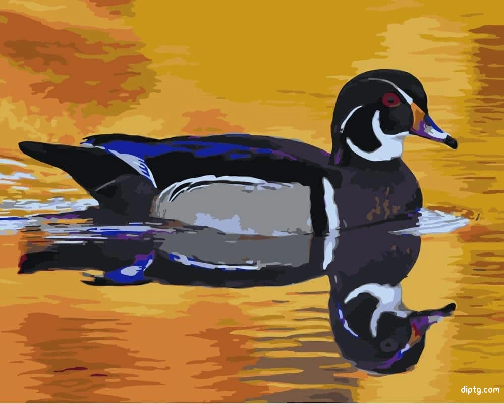 Duck Reflection In The Lake Painting By Numbers Kits.jpg