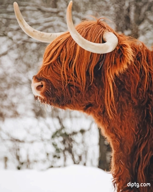 Highland Cow In Snow Painting By Numbers Kits.jpg