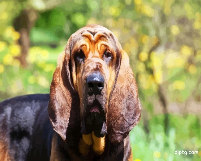 Bloodhound Dog Painting By Numbers Kits.jpg