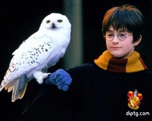 Harry Potter And Owl Painting By Numbers Kits.jpg