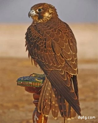 Eagle Desert Bird Painting By Numbers Kits.jpg