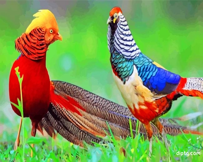 Golden Pheasant Birds Painting By Numbers Kits.jpg