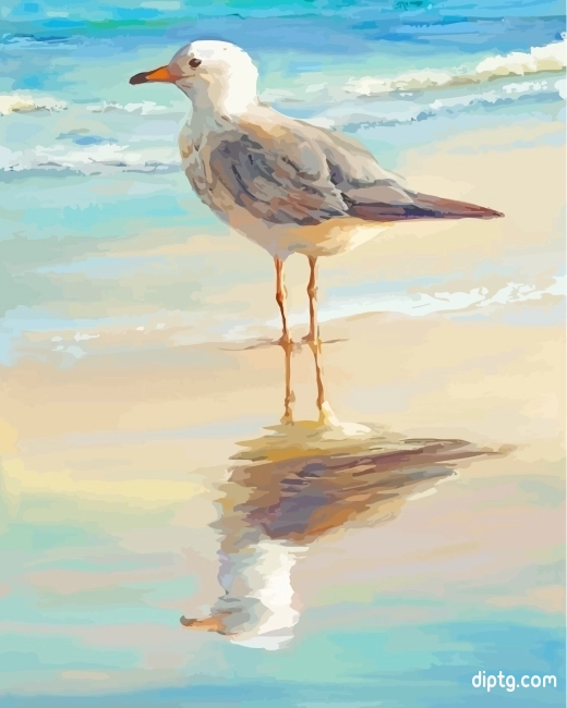 Seagull Bird Painting By Numbers Kits.jpg