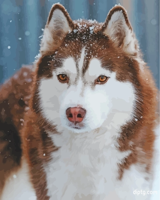 Aesthetic Brown Husky Snow Painting By Numbers Kits.jpg