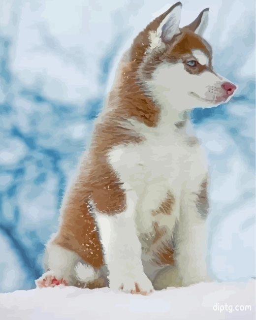 Brown Husky Snow Painting By Numbers Kits.jpg
