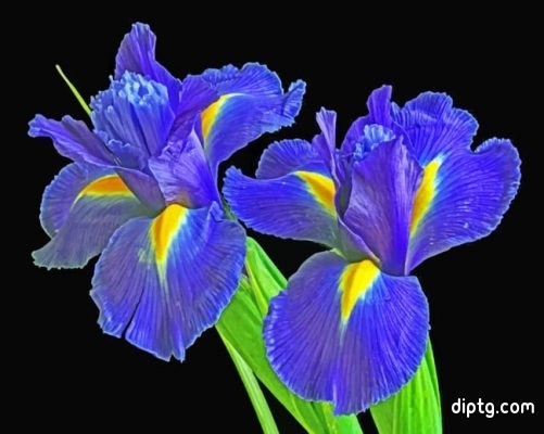 Irises Flowers Painting By Numbers Kits.jpg