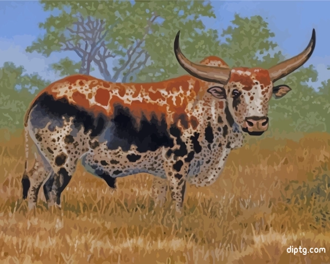 Nguni Bull Painting By Numbers Kits.jpg