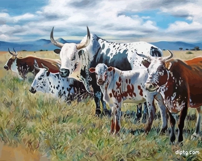 South Africa Nguni Painting By Numbers Kits.jpg