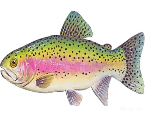 Trout Illustration Painting By Numbers Kits.jpg