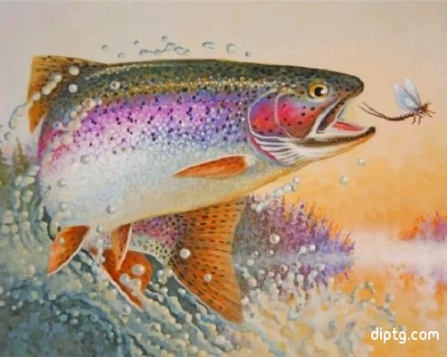 Rainbow Trout Fish Painting By Numbers Kits.jpg