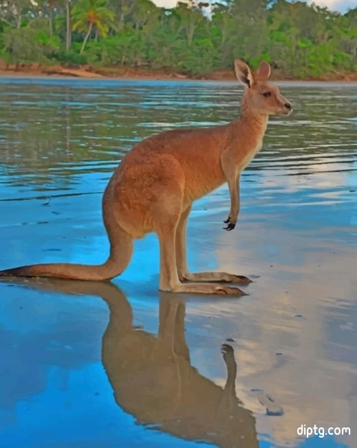 Kangaroo In The River Painting By Numbers Kits.jpg