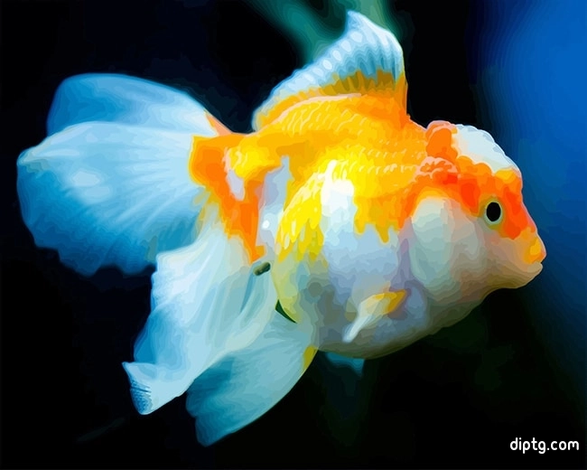 Pet Goldfish Painting By Numbers Kits.jpg