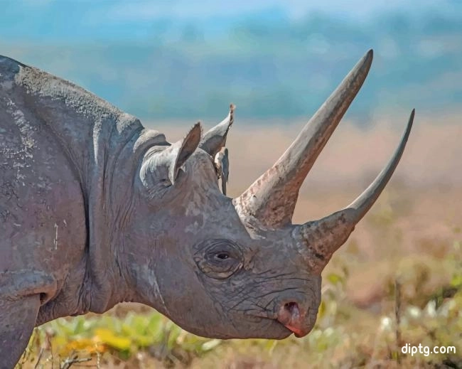 Rhinos Animal Painting By Numbers Kits.jpg