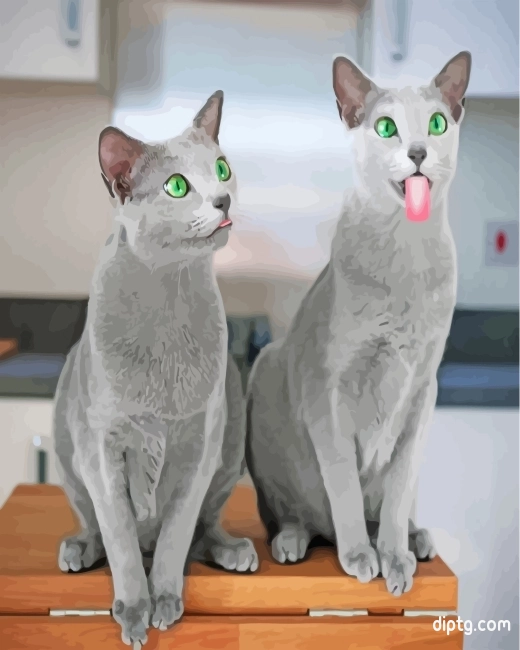 Funny Russian Blue Cats Painting By Numbers Kits.jpg