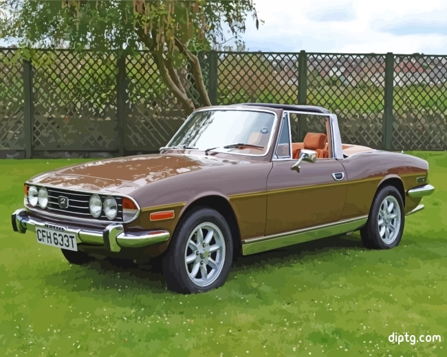 Brown Triumph Stag Painting By Numbers Kits.jpg