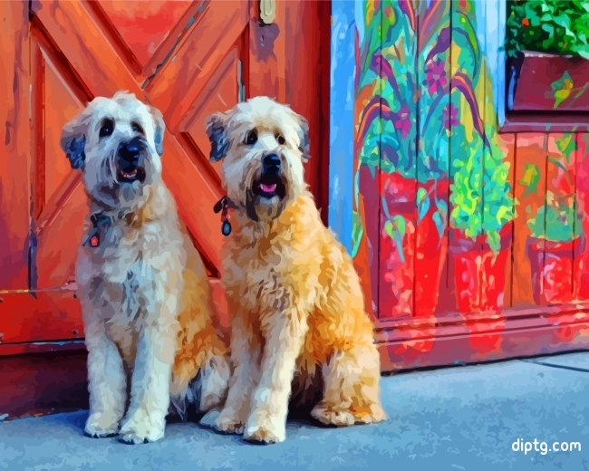 Soft Coated Wheaten Terriers Painting By Numbers Kits.jpg