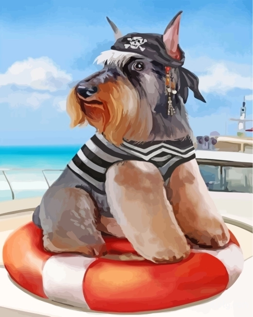 Schnauzer Pirate Painting By Numbers Kits.jpg