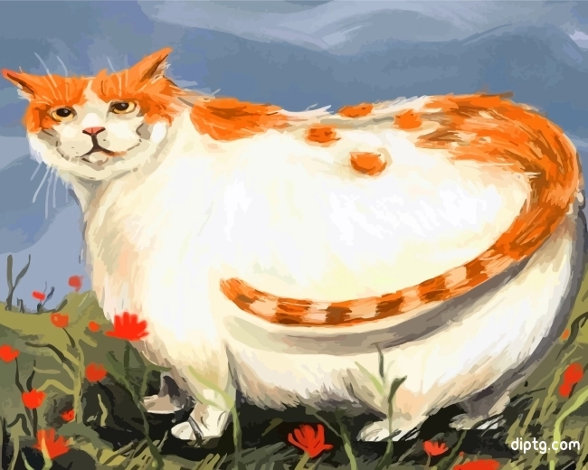 Fat Domestic Long Haired Cat Painting By Numbers Kits.jpg