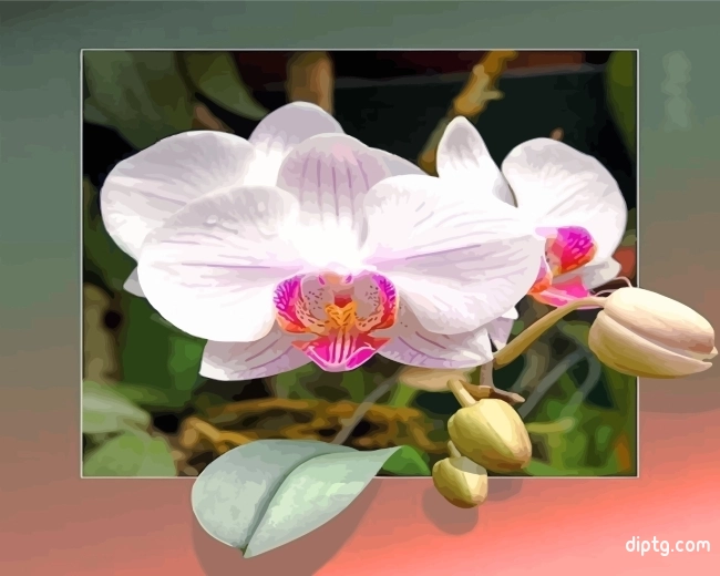 Orchid Flowers Painting By Numbers Kits.jpg