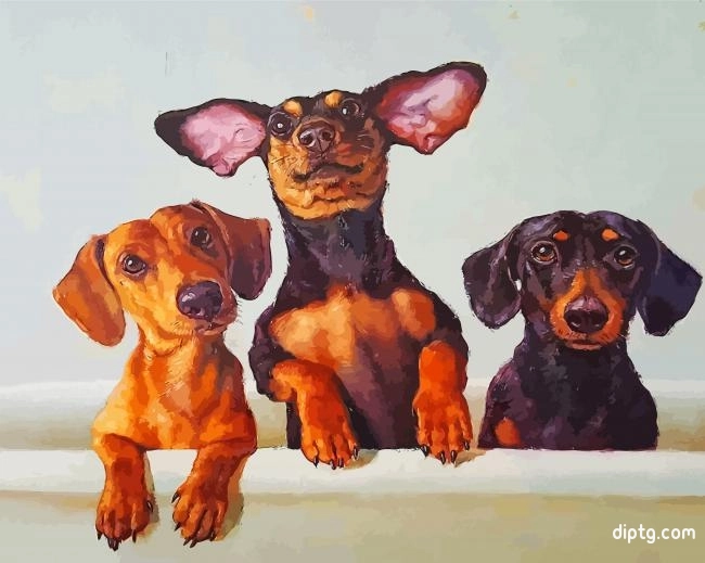 Dachshunds Dogs Painting By Numbers Kits.jpg