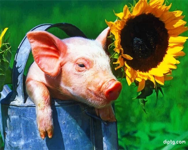 Aesthetic Pig And Sunflower Painting By Numbers Kits.jpg