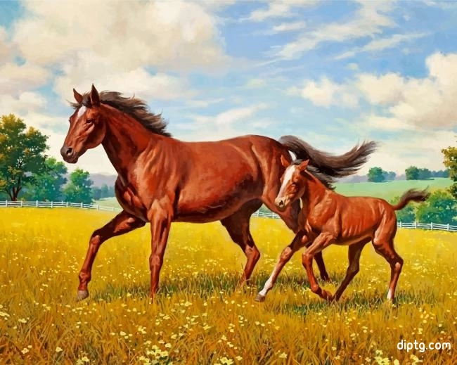 Horses In Meadow Painting By Numbers Kits.jpg