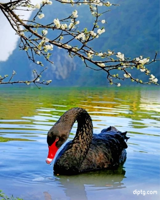 Black Swan Bird Painting By Numbers Kits.jpg