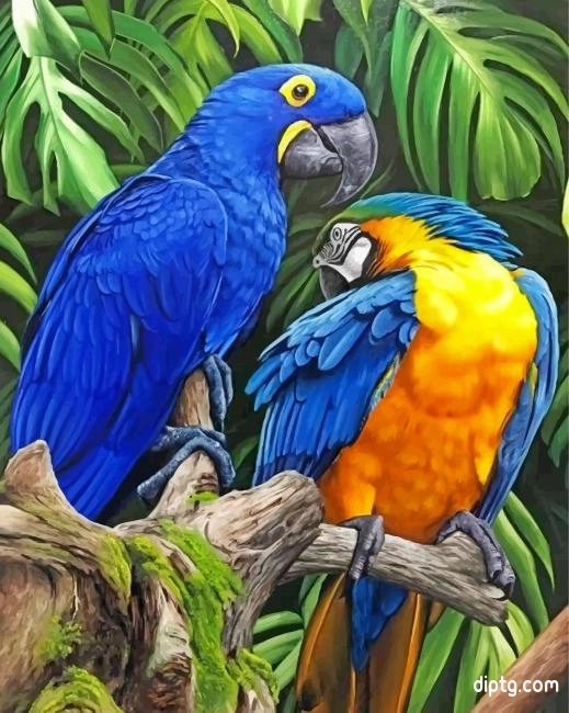 Tropical Macaws Painting By Numbers Kits.jpg