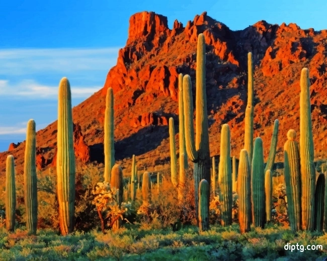 Cactus Near Mountain Painting By Numbers Kits.jpg