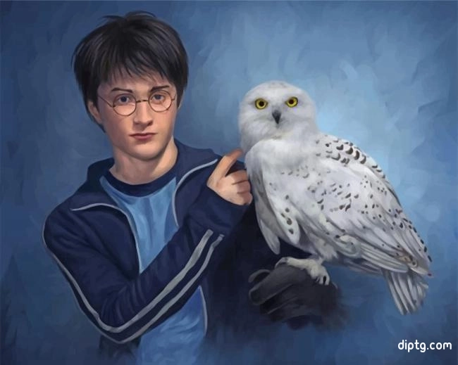 Harry Potter And Companion Hedwig Painting By Numbers Kits.jpg