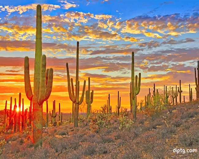 Cactus Arizona Desert Painting By Numbers Kits.jpg