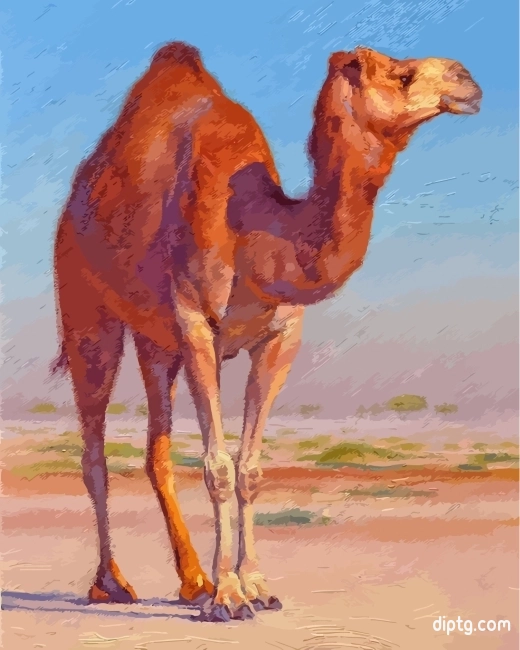 Camel In Desert Painting By Numbers Kits.jpg