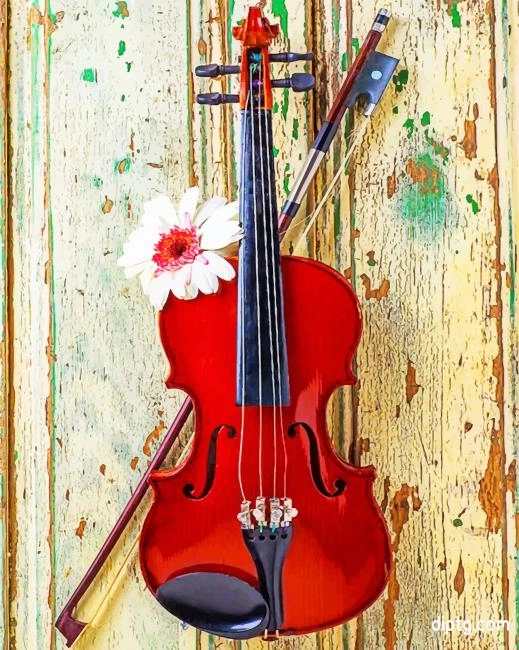 Violin With Daisy Flower Painting By Numbers Kits.jpg