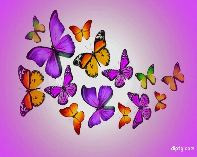 Colorful Butterflies Painting By Numbers Kits.jpg