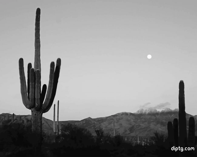 Cactus Moon Black And White Painting By Numbers Kits.jpg