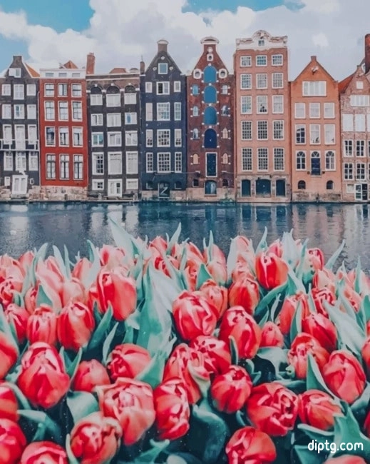 Flowers And Buildings Amsterdam Painting By Numbers Kits.jpg