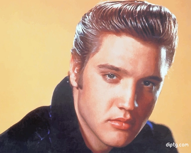 Handsome Elvis Presley Painting By Numbers Kits.jpg