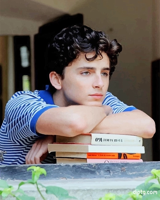 Classy Handsome Timothee Chalamet Painting By Numbers Kits.jpg