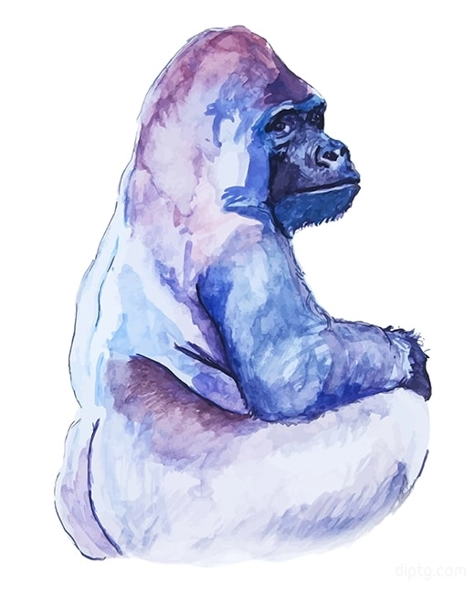 Silverback Gorilla Painting By Numbers Kits.jpg