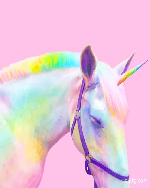 Rainbow Horse Painting By Numbers Kits.jpg