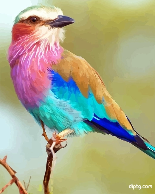 Lilac Breasted Roller Painting By Numbers Kits.jpg